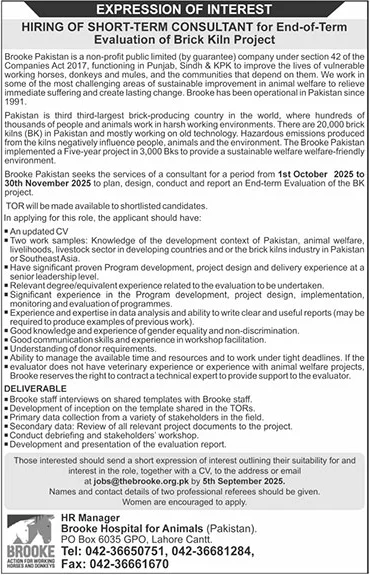 Brooke Lahore Tender Notice